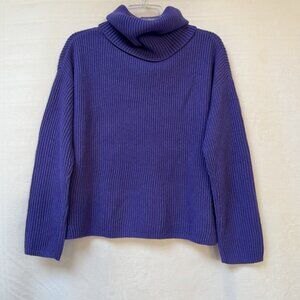 Banana Republic Wool Cashmere Ribbed Turtleneck Sweater Womens XS Purple Boxy